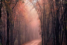 车载蓄电池工业车辆:未来工业电动化的动脉