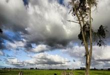 长寿命工业蓄电池:提升工业效率与可持续发展的关键