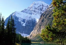 物流叉车用蓄电池:提升仓储效率的关键