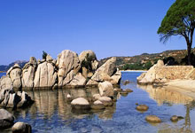 选择环保绿色叉车蓄电池,助力可持续发展